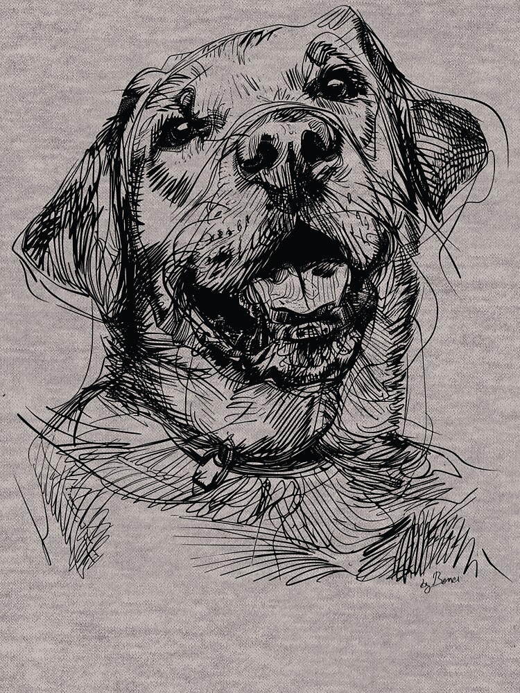 Labrador Retriever ballpoint pen drawing