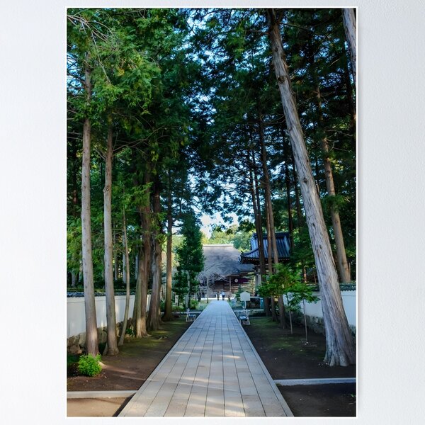 Item preview, Temple 29 - Tosa Kokubun-ji - approach and Hondo  designed and sold by Japaholic.