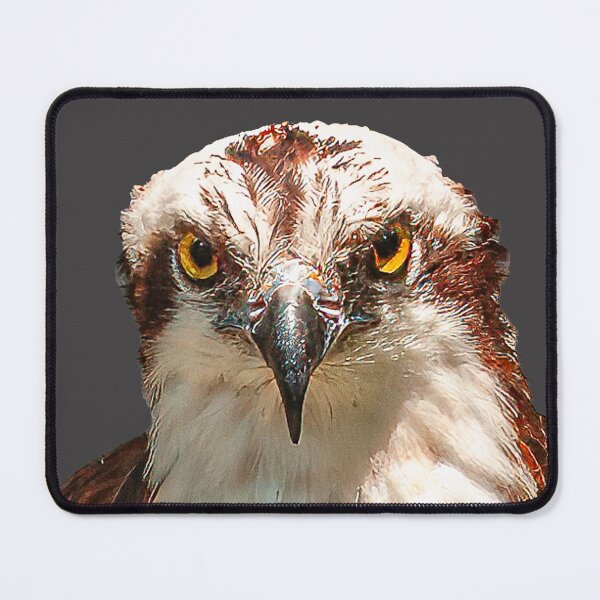 Item preview, Osprey designed and sold by Dalyndigital Photography.
