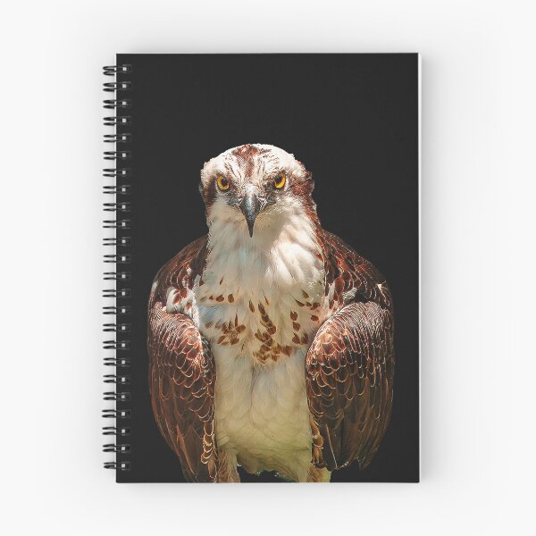 Item preview, Osprey  designed and sold by Dalyndigital Photography.