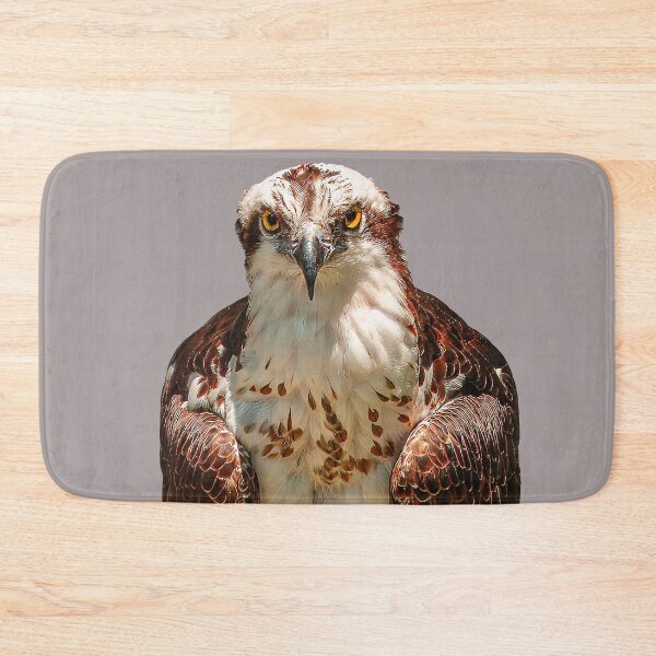 Item preview, Osprey  designed and sold by Dalyndigital Photography.