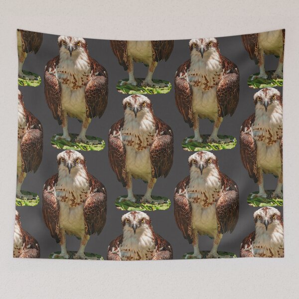 Item preview, Osprey  designed and sold by Dalyndigital Photography.