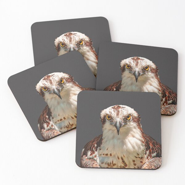 Item preview, Osprey  designed and sold by Dalyndigital Photography.