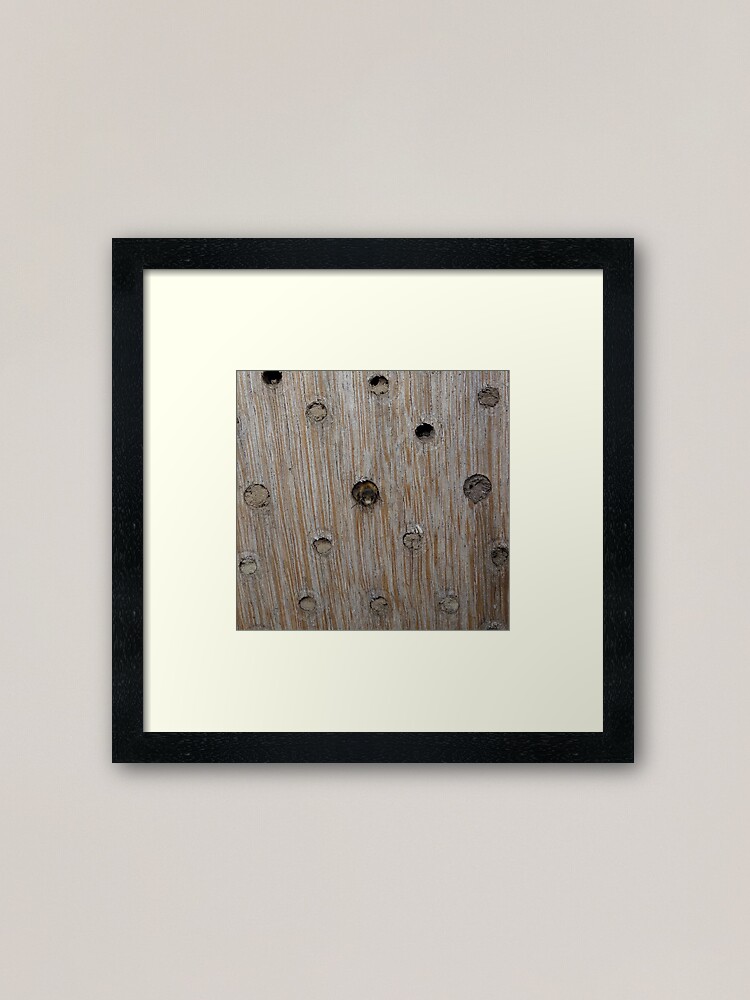 Alternate view of Emerging Mason Bee Framed Art Print