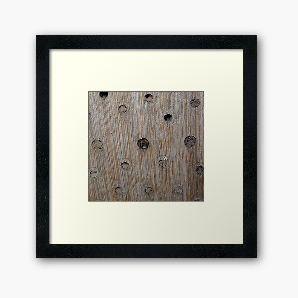 Emerging Mason Bee Framed Art Print