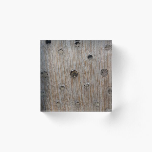 Emerging Mason Bee Acrylic Block