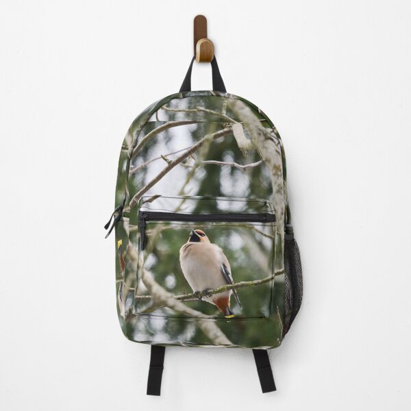 Item preview, Looking not too bohemian. Bohemian waxwing designed and sold by Jouko Lehto Photography.