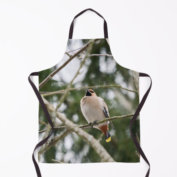 Item preview, Looking not too bohemian. Bohemian waxwing designed and sold by Jouko Lehto Photography.