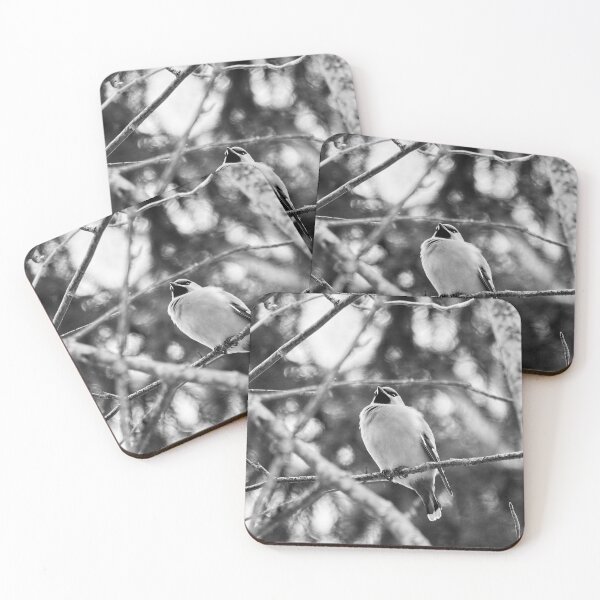 Item preview, Looking not too bohemian. Bohemian waxwing bw designed and sold by Jouko Lehto Photography.