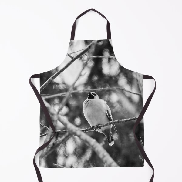 Item preview, Looking not too bohemian. Bohemian waxwing bw designed and sold by Jouko Lehto Photography.