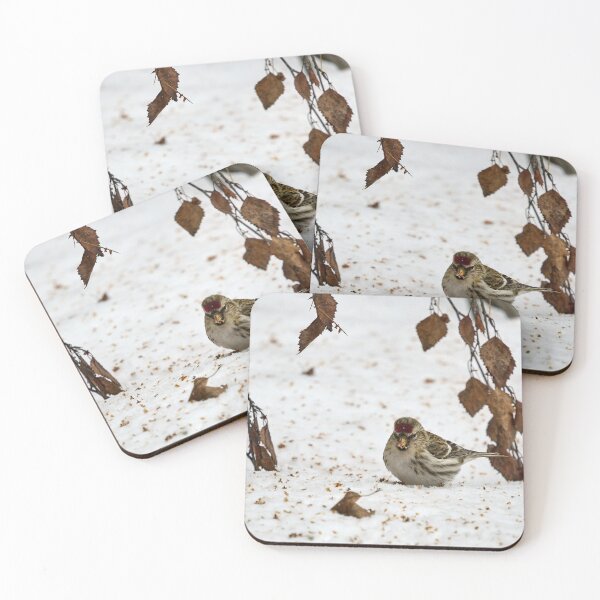 Item preview, Who has droppped all these seeds. Mealy redpoll designed and sold by Jouko Lehto Photography.