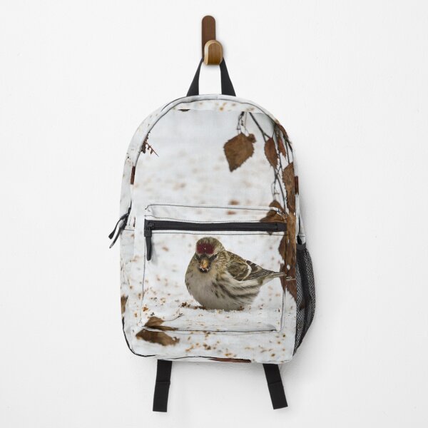 Item preview, Who has droppped all these seeds. Mealy redpoll designed and sold by Jouko Lehto Photography.