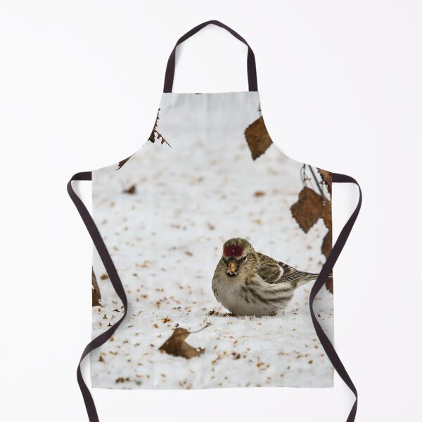Item preview, Who has droppped all these seeds. Mealy redpoll designed and sold by Jouko Lehto Photography.