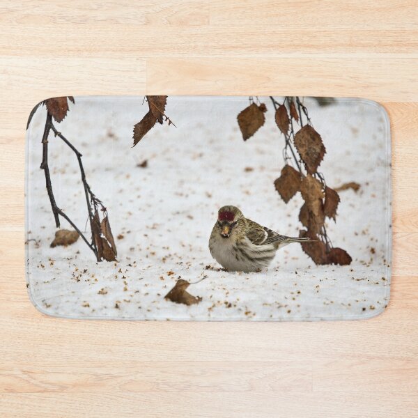 Item preview, Who has droppped all these seeds. Mealy redpoll designed and sold by Jouko Lehto Photography.