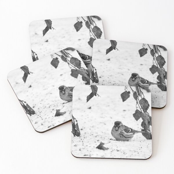 Item preview, Who has droppped all these seeds. Mealy redpoll bw designed and sold by Jouko Lehto Photography.