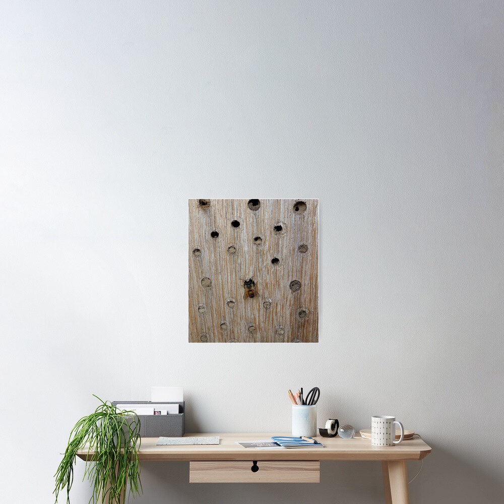 Solitary Bee Poster