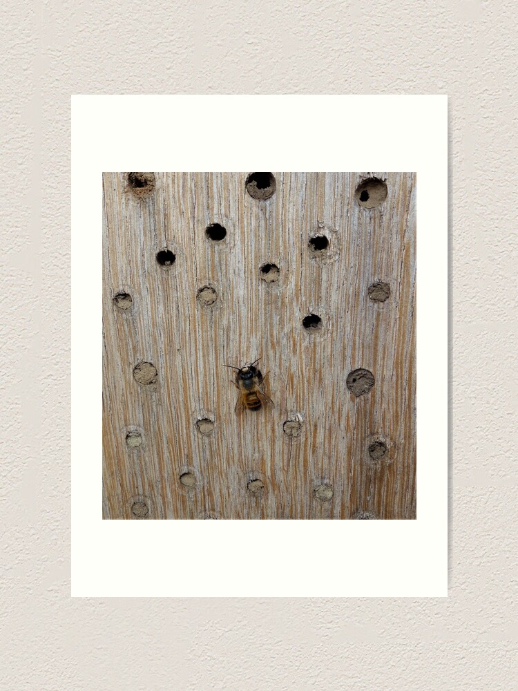 Alternate view of Solitary Bee Art Print