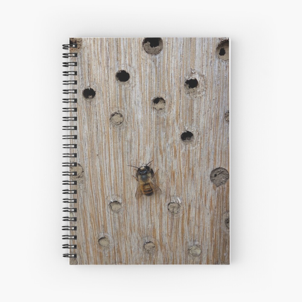 Solitary Bee Spiral Notebook