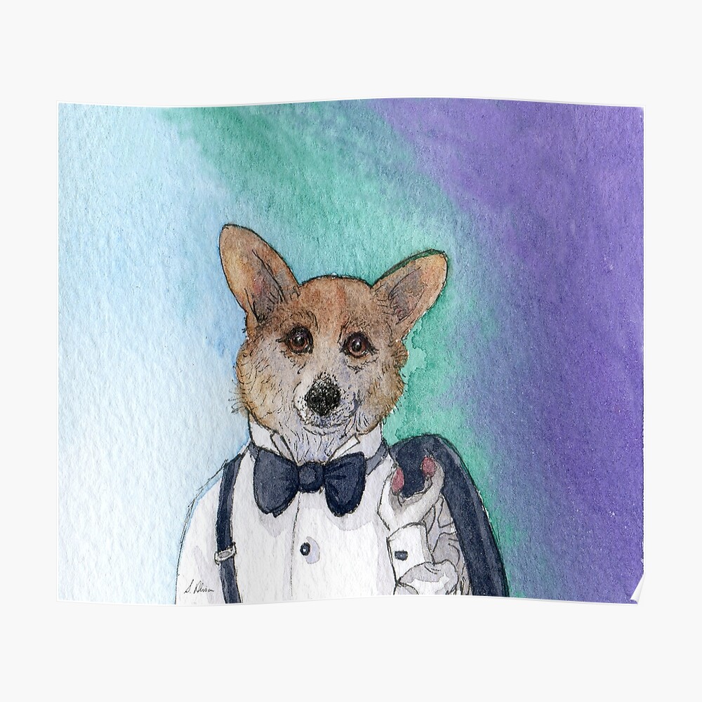 corgis wearing clothes