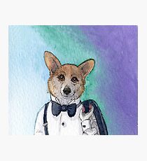 Pembroke Welsh Corgi dog in tuxedo Photographic Print