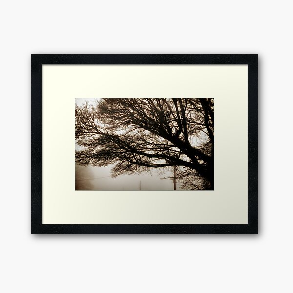Morning Fog with Tree Framed Art Print