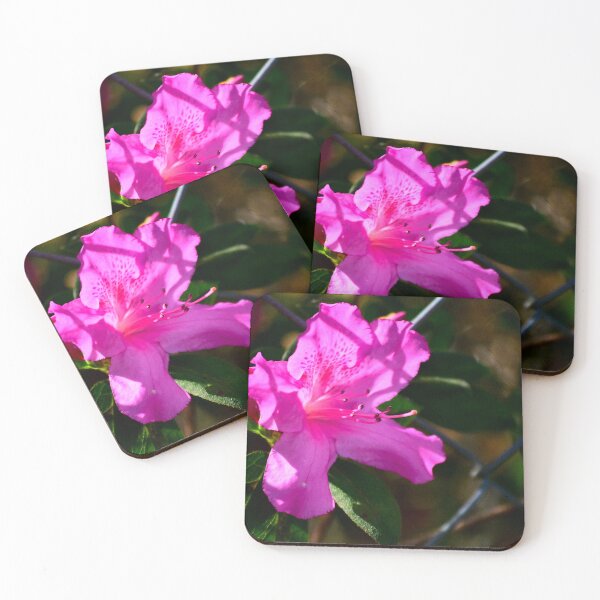 Item preview, Azalea Bloom On Mill Slough designed and sold by MercerImages.