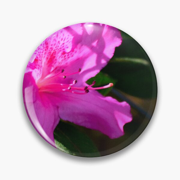 Item preview, Azalea Bloom On Mill Slough designed and sold by MercerImages.
