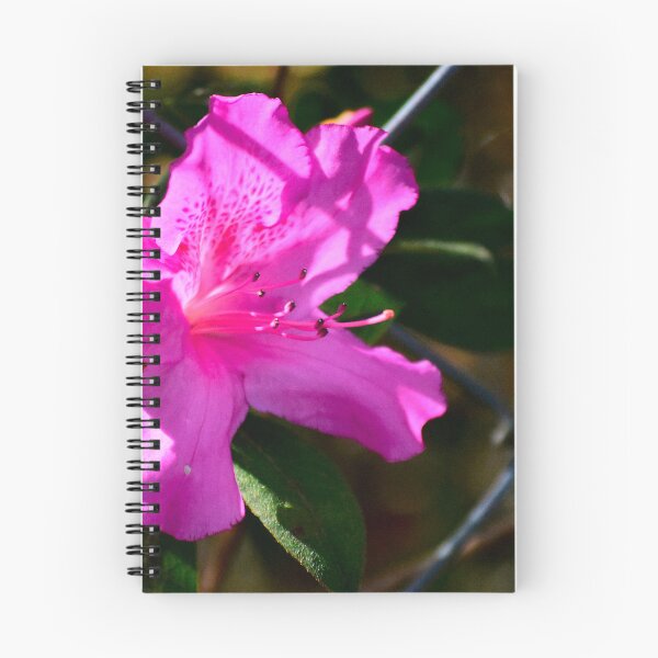 Item preview, Azalea Bloom On Mill Slough designed and sold by MercerImages.