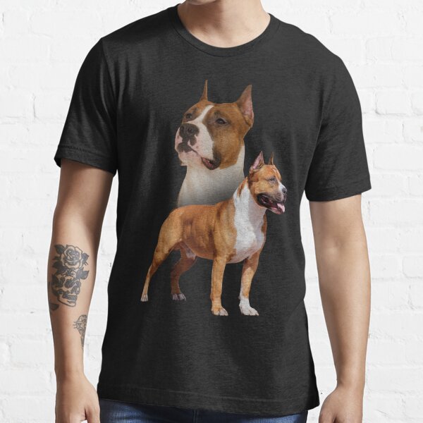 american staffordshire t