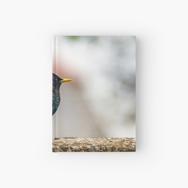 Item preview, European Starling designed and sold by AJEvans.