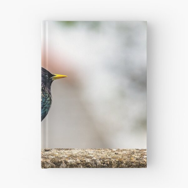 Item preview, European Starling designed and sold by AJEvans.