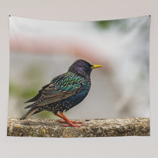Item preview, European Starling designed and sold by AJEvans.