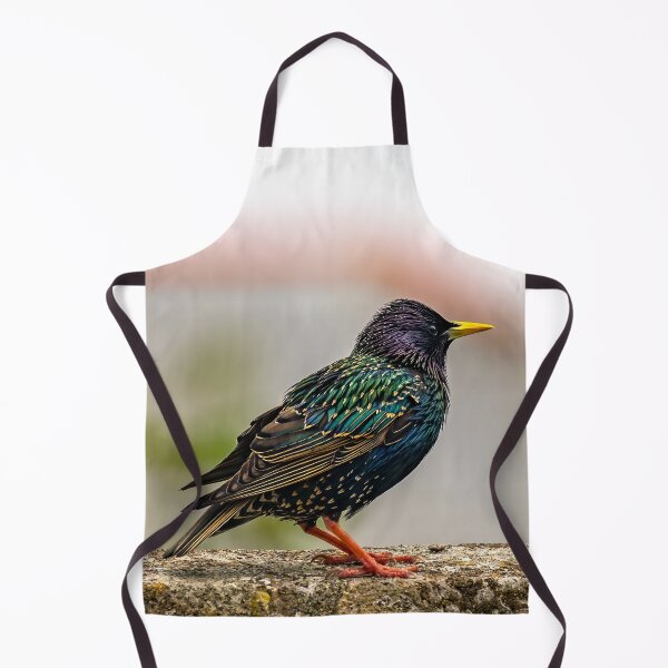 Item preview, European Starling designed and sold by AJEvans.