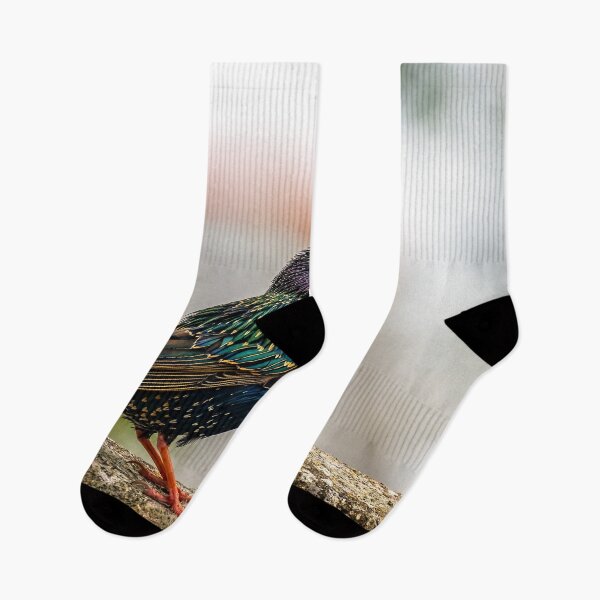 Item preview, European Starling designed and sold by AJEvans.