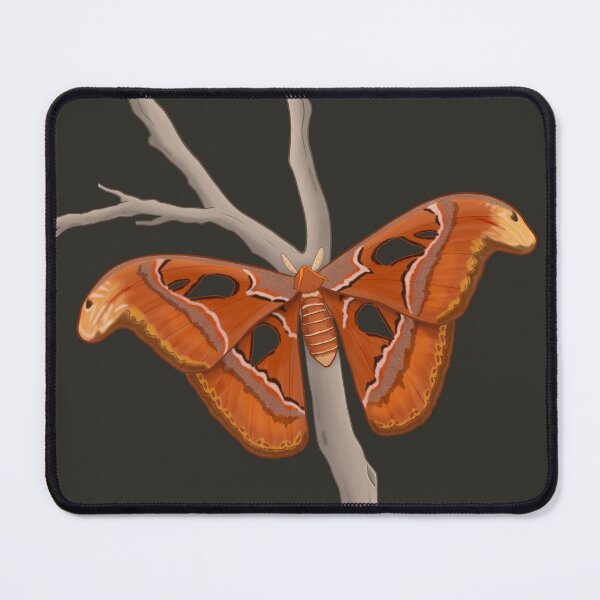 Item preview, Atlas Moth designed and sold by ArtistSaveFile.
