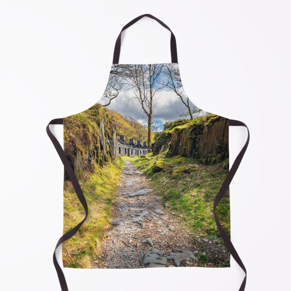 Item preview, Anglesey Barracks Dinorwic Quarry Snowdonia designed and sold by AJEvans.