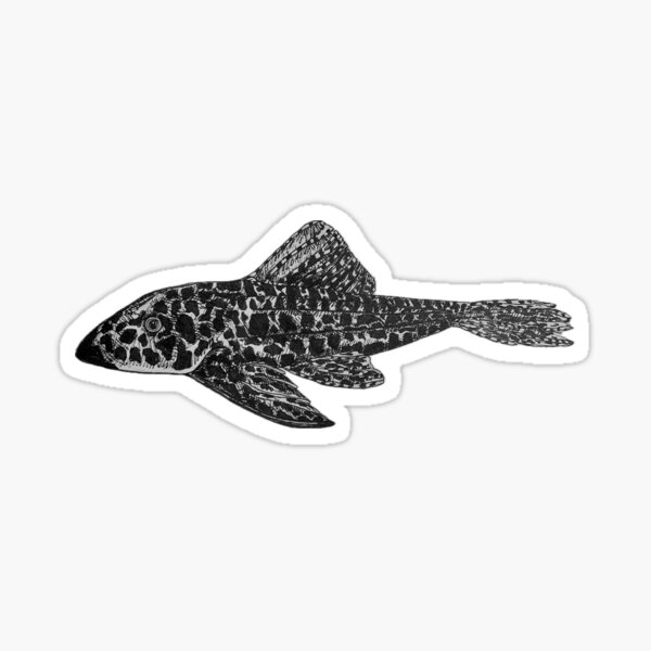 Vista previa del artículo con la obra «Pleco», diseñado y vendido por Aubree Parkinson.