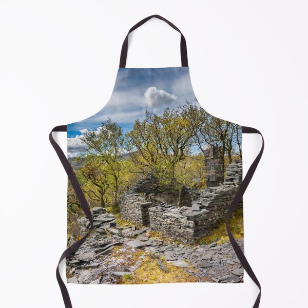 Artikelvorschau, Steinbruchgebäude Llanberis Wales entworfen und verkauft von AJEvans.