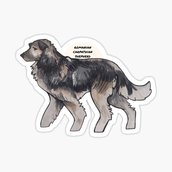 Item preview, Romanian Carpathian Shepherd designed and sold by the2000scalled.