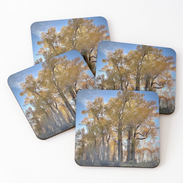 Item preview, Cottowoods in the Fall designed and sold by janannes.