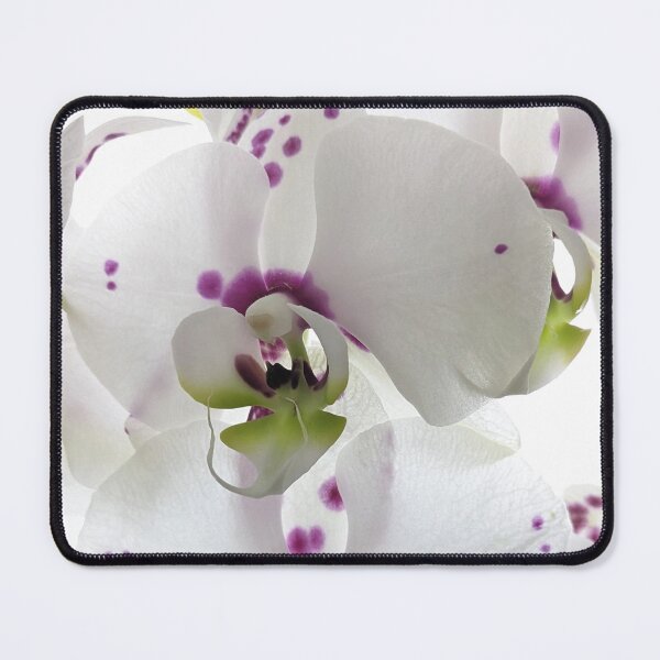 Item preview, White, Fuchscia Pink, Citrus Green Orchids Backlight Close-Up White Background designed and sold by Kizzydesign.