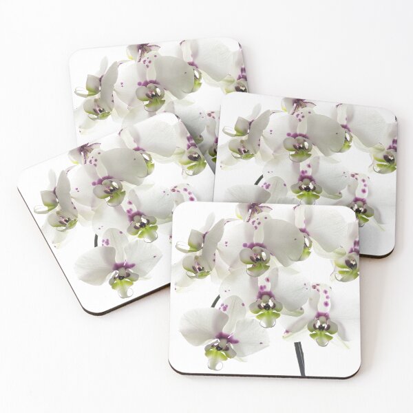 Item preview, White, Fuchscia Pink, Citrus Green Orchids Blooms on Stem Horizontal Backlight White Background designed and sold by Kizzydesign.