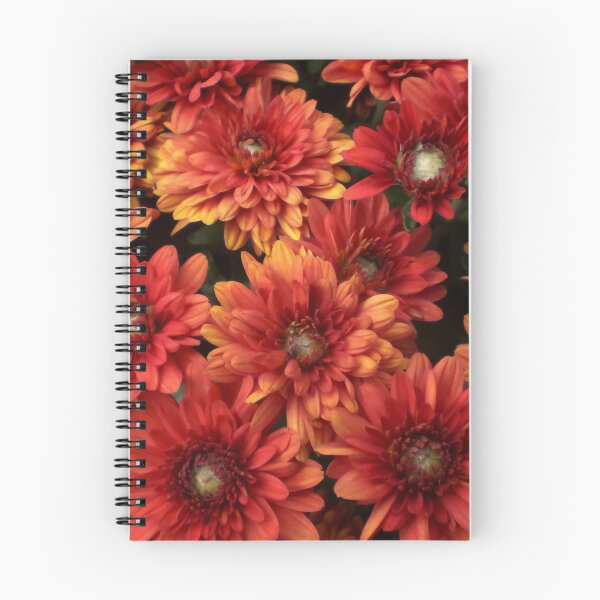 Item preview, Golden Orange Chrysanthemums in bloom designed and sold by activartist.