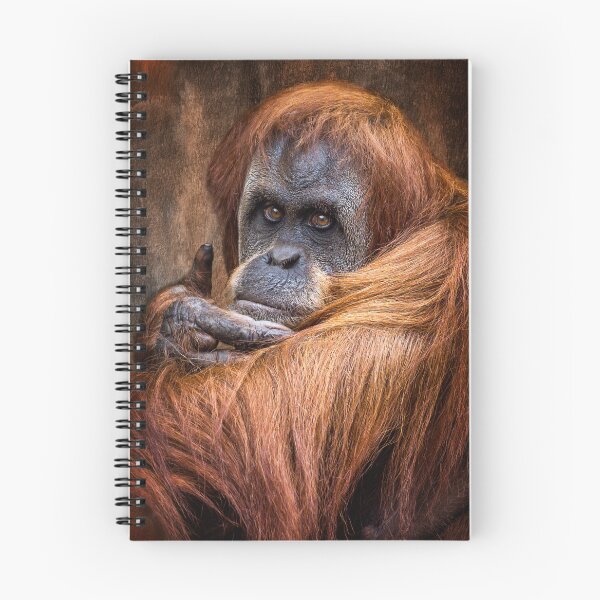 Item preview, Sumatran Orangutan  designed and sold by AJEvans.