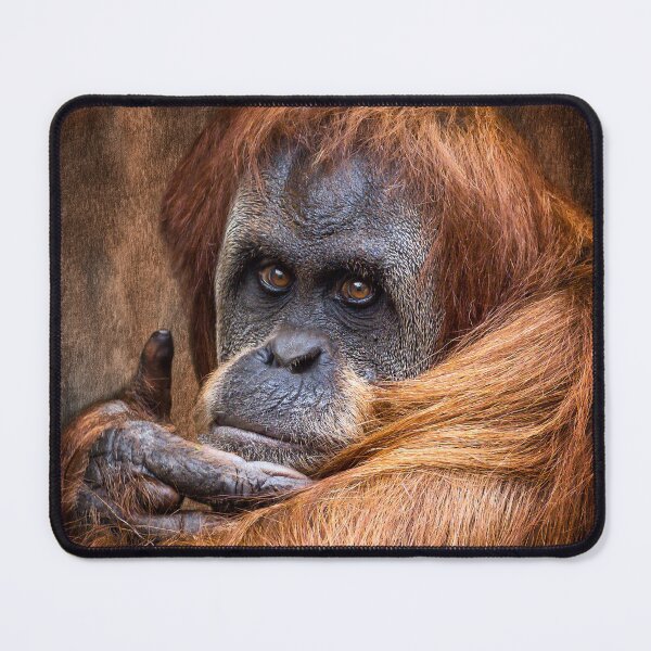 Item preview, Sumatran Orangutan  designed and sold by AJEvans.