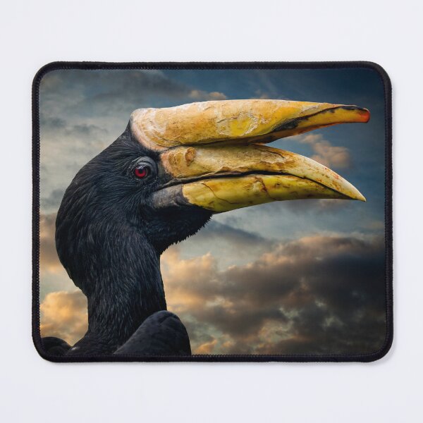 Item preview, Rhinoceros Hornbill designed and sold by AJEvans.