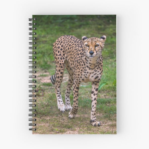 Item preview, Cheetah designed and sold by AJEvans.