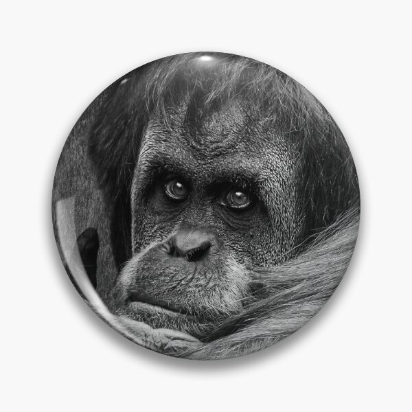 Item preview, Sumatran Orangutan designed and sold by AJEvans.