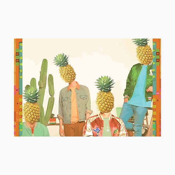 Glass Animals Pineapple Heads Photographic Print