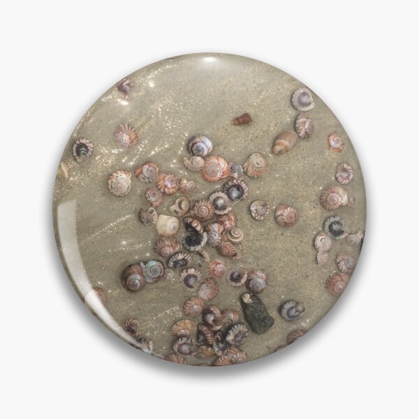 Item preview, Shells on the sandy beach at Houhora designed and sold by KiwiImages.